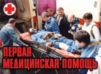 Комплект плакатов "Первая медицинская помощь" - «globural.ru» - Краснокамск
