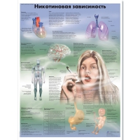 Плакат "Никотиновая зависимость", ламинированный, 50*67 см - «globural.ru» - Краснокамск