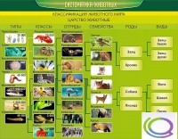 Стенд "Систематика животных" - «globural.ru» - Краснокамск
