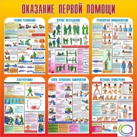 Стенд "Оказание первой помощи" - «globural.ru» - Краснокамск