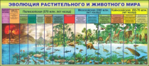 Стенд "Эволюция растительного и животного мира" - «globural.ru» - Краснокамск