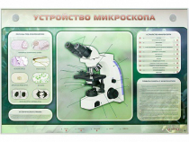 Электрифицированный стенд "Устройство микроскопа и правила работы c ним" - «globural.ru» - Краснокамск
