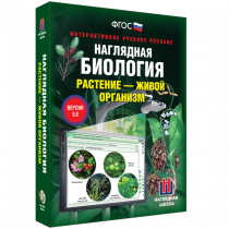 Наглядная биология. Растение - живой организм - «globural.ru» - Краснокамск