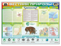 Стенд-уголок "Вестник природы" (вариант 1) - «globural.ru» - Краснокамск