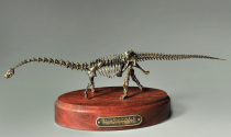 Модель скелета динозавра Diplodocus  (вариант 2) - «globural.ru» - Краснокамск