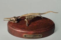 Модель скелета ихтиозавра Ichthyosaurus - «globural.ru» - Краснокамск
