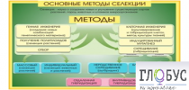 Стенд "Методы селекции и биотехнологии" - «globural.ru» - Краснокамск