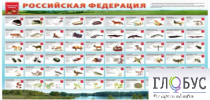 Стенд "Красная книга РФ" - «globural.ru» - Краснокамск