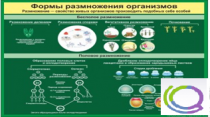 Стенд "Формы размножения организмов" - «globural.ru» - Краснокамск