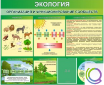Стенд "Экология. Организация и функционирование сообществ" - «globural.ru» - Краснокамск