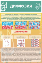 Стенд "Диффузия" - «globural.ru» - Краснокамск