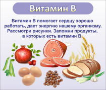 Стенд "Витамин В" - «globural.ru» - Краснокамск