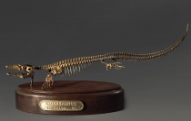 Модель скелета мозазавра Mosasaurus - «globural.ru» - Краснокамск