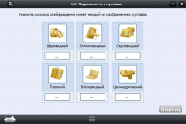 Интерактивные курсы. Биология 8 класс. Базовый  - «globural.ru» - Краснокамск