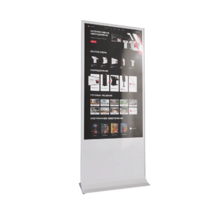 Интерактивный сенсорный киоск Nova 43" - «globural.ru» - Краснокамск