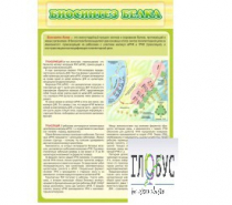 Стенд "Биосинтез белка" - «globural.ru» - Краснокамск