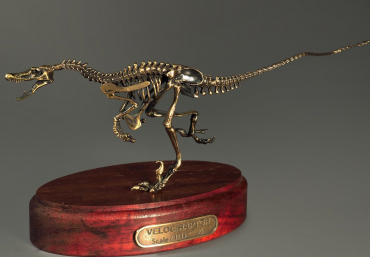 Модель скелета динозавра Velociraptor - «globural.ru» - Краснокамск