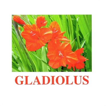 "Flowers-1" ("Цветы-1") английские карточки Домана - «globural.ru» - Краснокамск