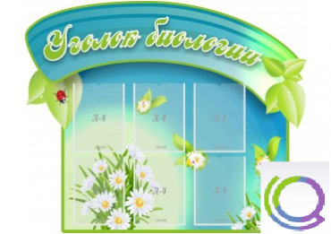 Стенд "Уголок биологии" - «globural.ru» - Краснокамск