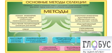 Стенд "Методы селекции и биотехнологии" - «globural.ru» - Краснокамск
