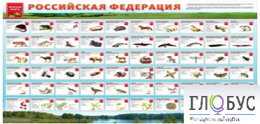 Стенд "Красная книга РФ" - «globural.ru» - Краснокамск