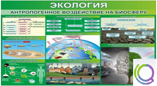 Стенд "Экология. Антропогенное воздействие на биосферу" - «globural.ru» - Краснокамск