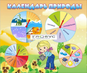 Стенд "Календарь природы" (вариант 1) - «globural.ru» - Краснокамск