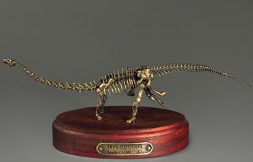 Модель скелета динозавра Diplodocus (вариант 1) - «globural.ru» - Краснокамск