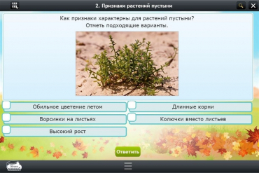 Интерактивные курсы. Окружающий мир 3 класс. Базовый - «globural.ru» - Краснокамск