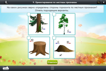 Интерактивные курсы. Окружающий мир 1 класс. Базовый - «globural.ru» - Краснокамск