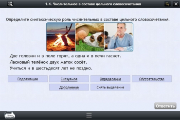 Интерактивные курсы. Русский язык 6 класс. Базовый - «globural.ru» - Краснокамск