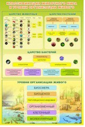 Стенд "Классификация животного мира" - «globural.ru» - Краснокамск